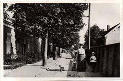 Kaart van Naaldwijk